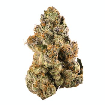 Wholesale Flower (Gelato) (1 lb)