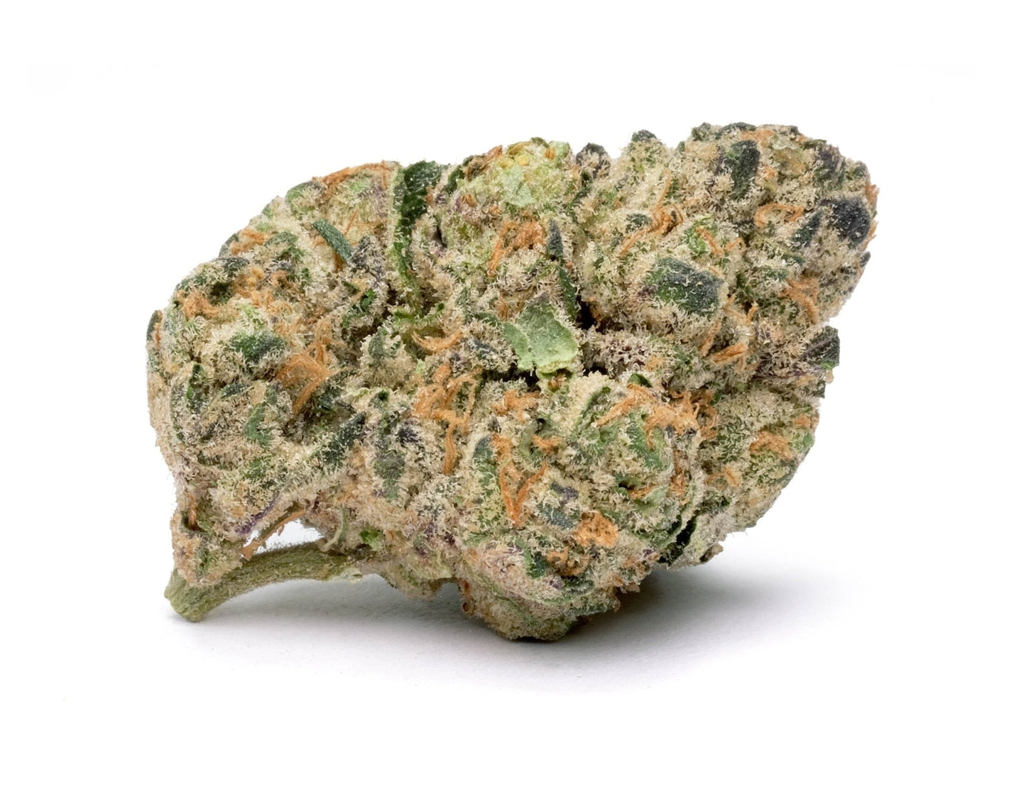 Wholesale Flower (Arise) (1 lb)