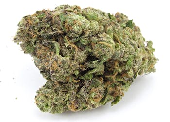 Wholesale Flower (Jealousy) (1 lb)