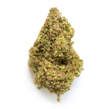 Wholesale Flower (Gelonade) (1 lb)
