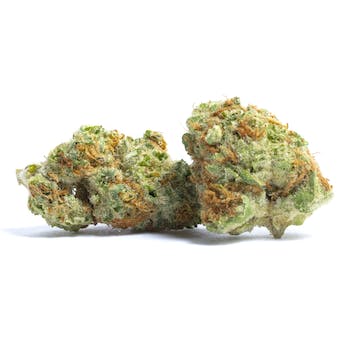 Wholesale Flower (Honey buns) (1 lb)
