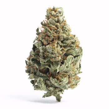 Wholesale Flower (Tropical Runtz) (1 lb)